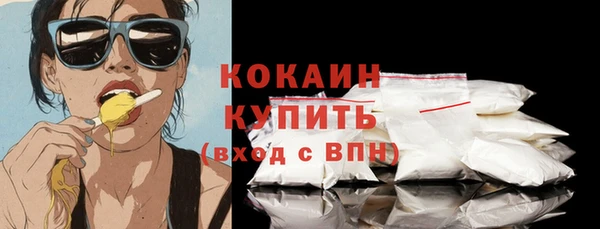 тгк Няндома