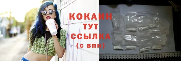 тгк Няндома