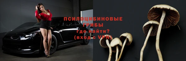 спайс Киреевск