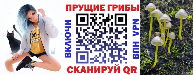 Галлюциногенные грибы Psilocybe  OMG маркетплейс  Клинцы 