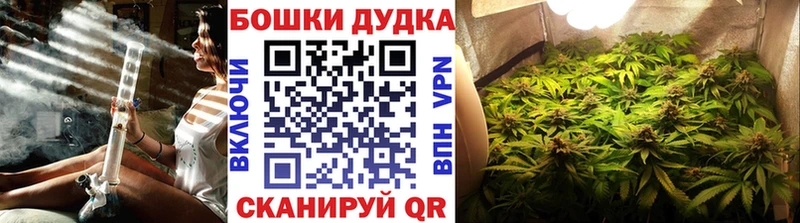 darknet Telegram Клинцы Марихуана White Widow